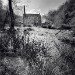 Gibson Mill 150309_2_1